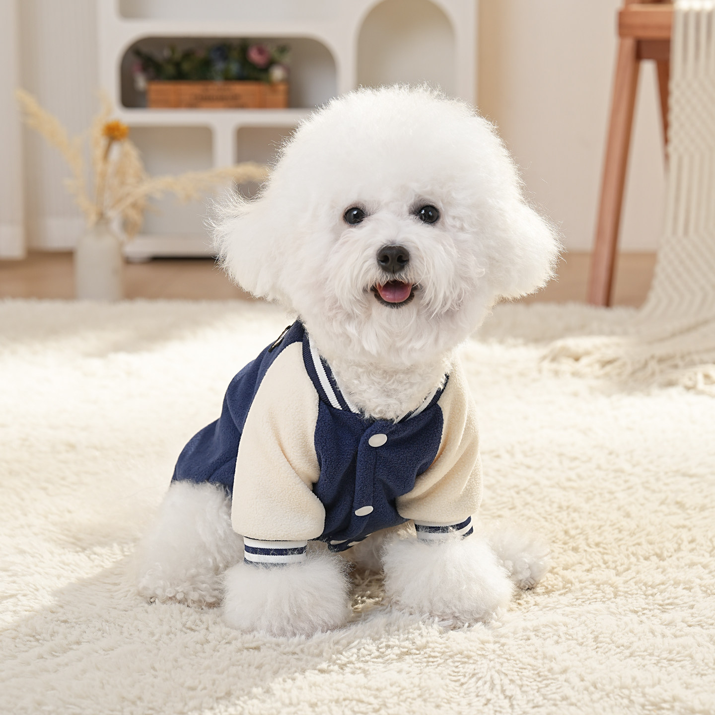 狗衣服秋冬加厚保暖中小型犬比熊雪纳瑞泰迪宠物马甲可牵引猫衣服,宠物/宠物食品及用品,狗宠物服装/雨衣,淘宝优惠券,粉丝福利购,淘宝优惠卷