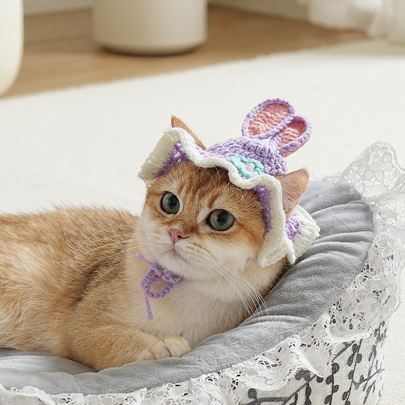 宠物帽子可爱手工编织毛线帽狗狗猫咪头饰头套装饰品,宠物/宠物食品及用品,帽子,淘宝优惠券,粉丝福利购,淘宝优惠卷