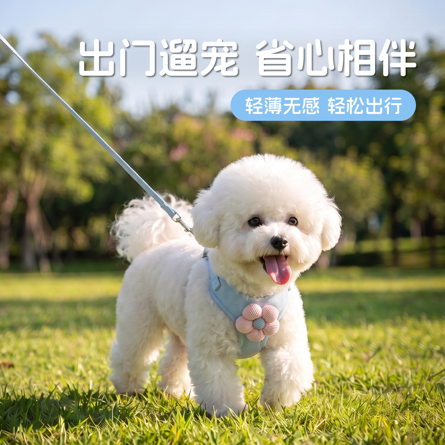 小狗狗牵引绳胸背带防挣脱小型犬泰迪比熊博美遛狗链宠物绳子