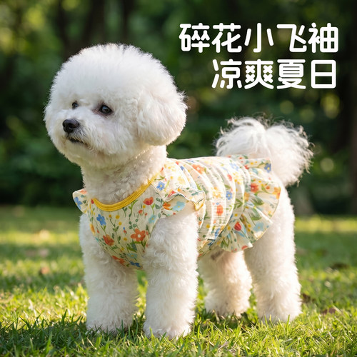 狗狗衣服夏季薄款防晒透气碎花连衣裙中小型犬比熊泰迪可牵引服饰
