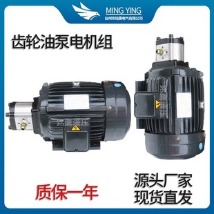 1.5KW CBN304 CBN310 0.75kw 齿轮泵电机组液压站配件CBN液压油泵