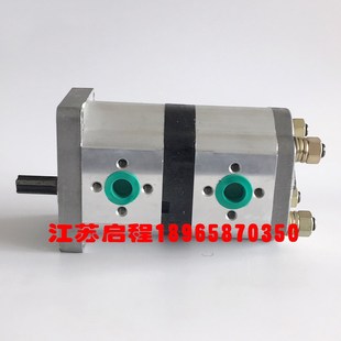 CBN F310 F306 双联齿轮泵 F320 F316 F314 310 液压油泵CBN