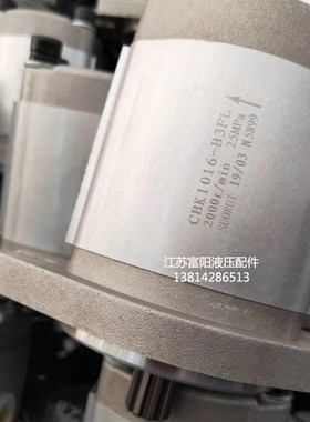 齿轮泵CBK1012 CBK1016 CBK1020 CBK1025-B1FR B1FL A1FR液压油泵