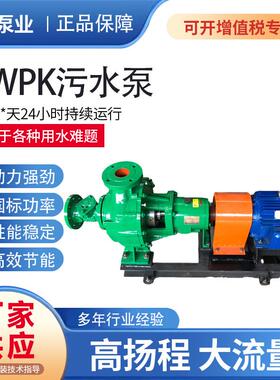 KWPK污水泵尾矿洗沙铁精矿渣浆泵分级给料渣浆泵自动搅匀潜污泵