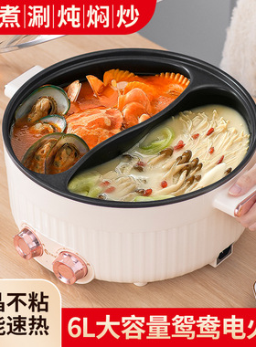双味鸳鸯电火锅多功能家用宿舍学生多功能一体锅电煮锅电热锅电锅