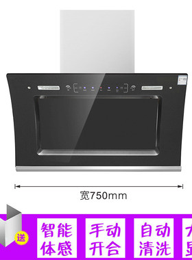 工厂双电机油烟机工程家用厨房侧吸式大吸力自动清洗抽油烟机