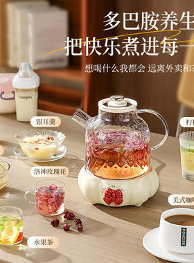 多功能办公室玻璃养生壶煮茶炉茶壶电陶炉烧水壶一人迷你煮茶器