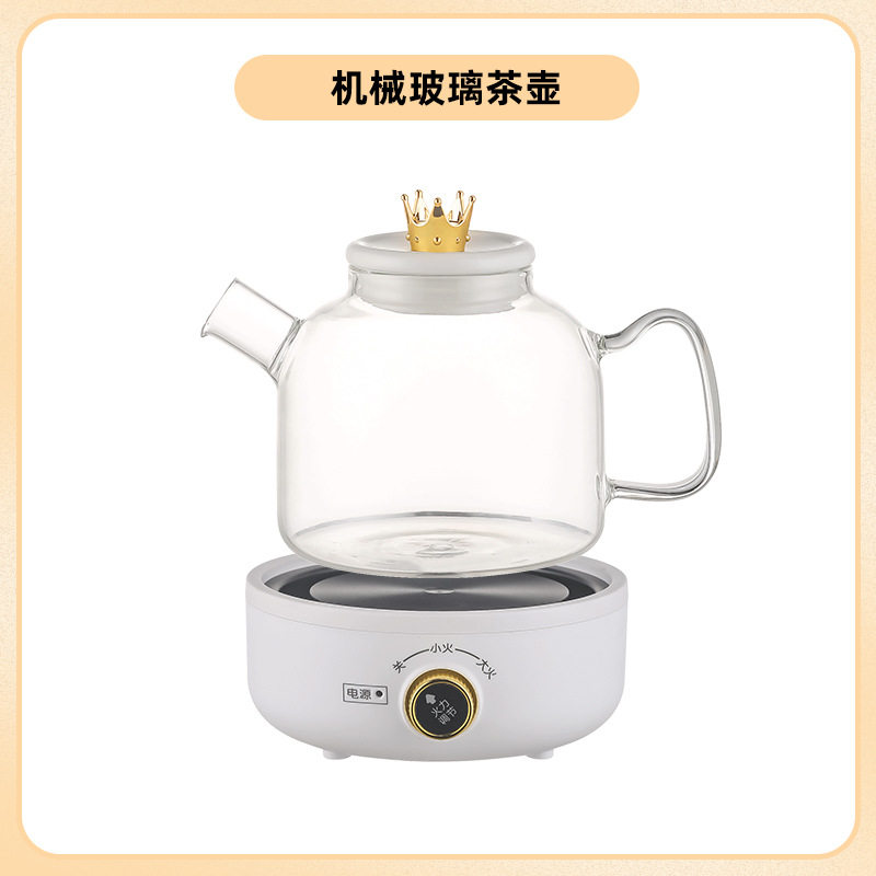 多功能养生壶泡茶壶玻璃壶家用燕窝机花茶壶迷你全自动110V美规
