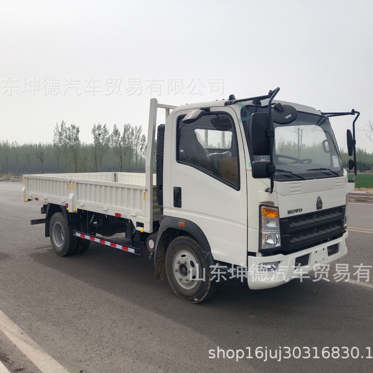中国重汽豪沃4x2 4x4 5吨豪沃轻卡载货车出口报关