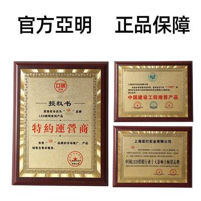 亚明LED塔吊灯1000200工0户瓦建筑地IZT工程照明W外防水探照投光