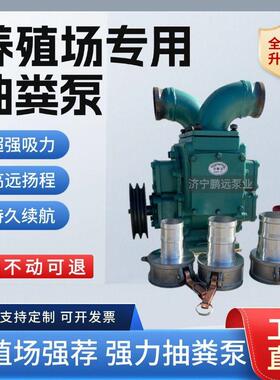 泵养殖场猪粪抽抽粪粪机家用化浆粪池无堵塞排污水DIJ泥水泵
