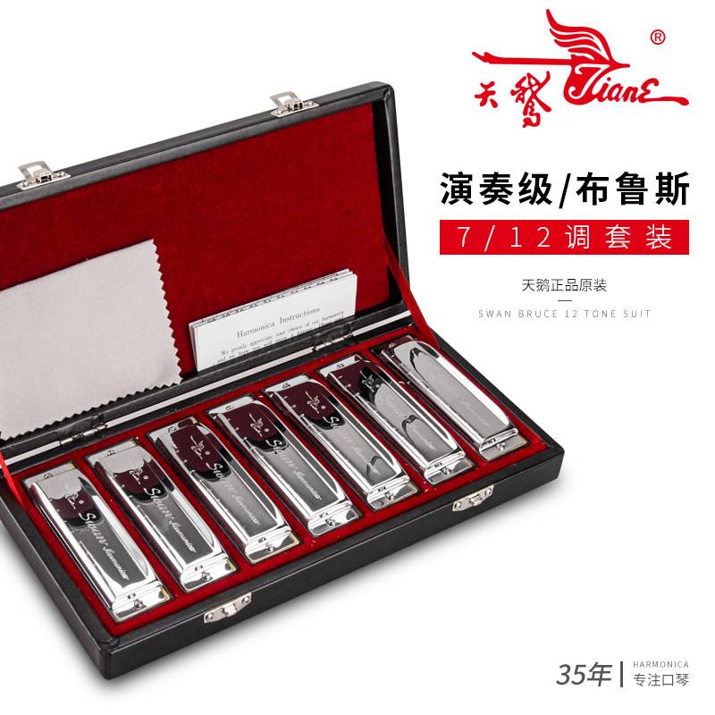 天鹅10孔布鲁斯套装口琴 ABCDEFG7调套装 12调套装 吹奏乐器