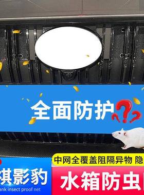 21-2网2款广PDD36160汽传祺豹水箱防虫格改装中网防护影进气栅护