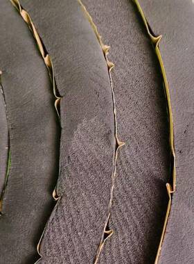 热温隔音保棉隔水泥顶彩钢瓦楼顶殖棚养阻燃耐高NAI温自粘隔保温