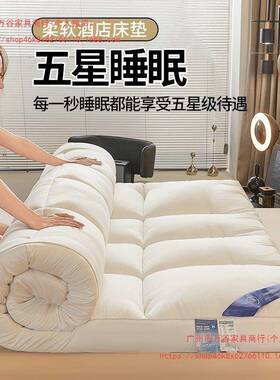 五床店垫家用软QWT垫卧室榻榻米厚软床褥垫褥酒子垫被垫褥羽丝棉