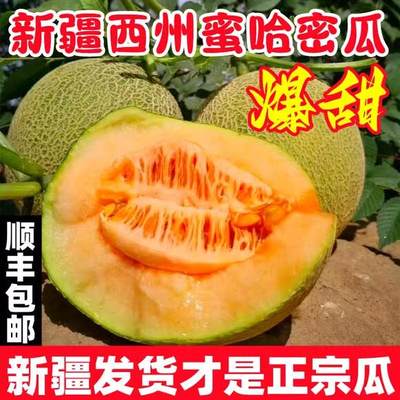 正宗新疆哈密瓜9斤新鲜水果一箱吐鲁番西州蜜瓜顺丰包邮当季网纹