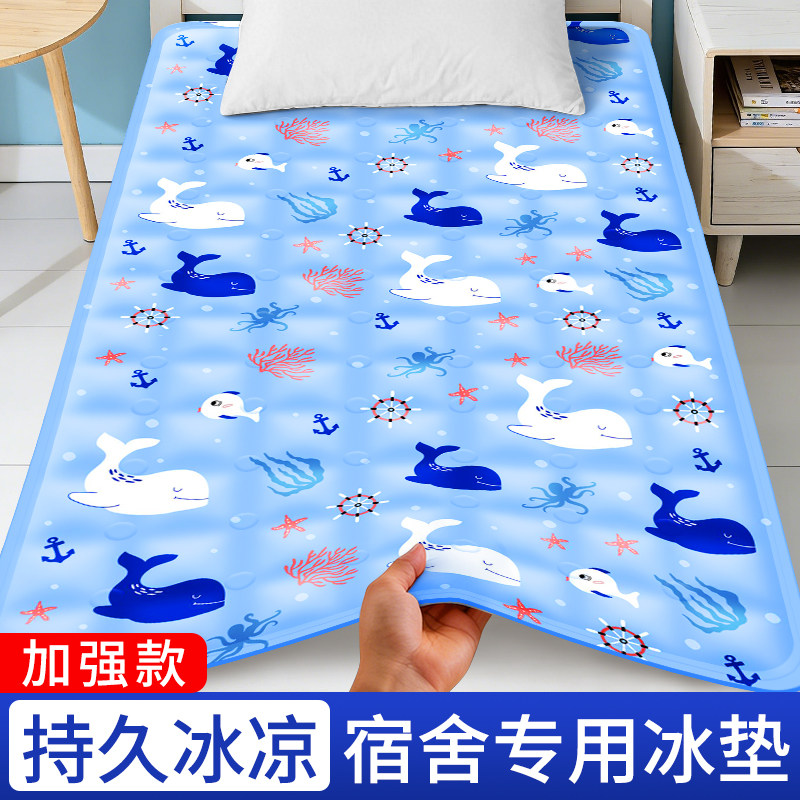 夏季学生宿舍冰垫床垫家用客厅沙发坐垫寝室单人水床垫子凉席坐垫