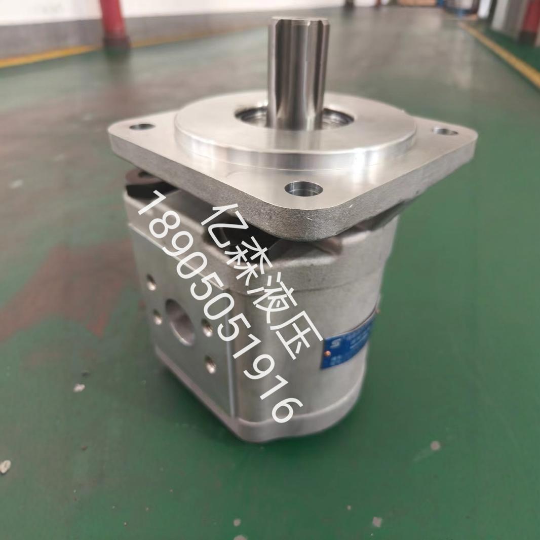 合肥赛源SY齿轮泵CBG-2063-BFHL长源型液压泵高压大排量齿轮油泵