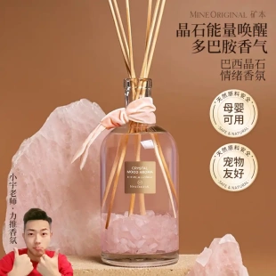 藤条香薰卧室持久留香家用房间香味高级感造型香水 晶石香薰