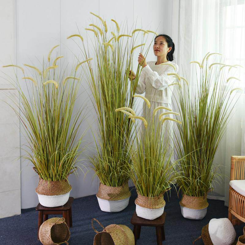 新疆包邮仿真绿植狗尾巴草假芦苇装饰客厅盆栽植物造景草室内落地