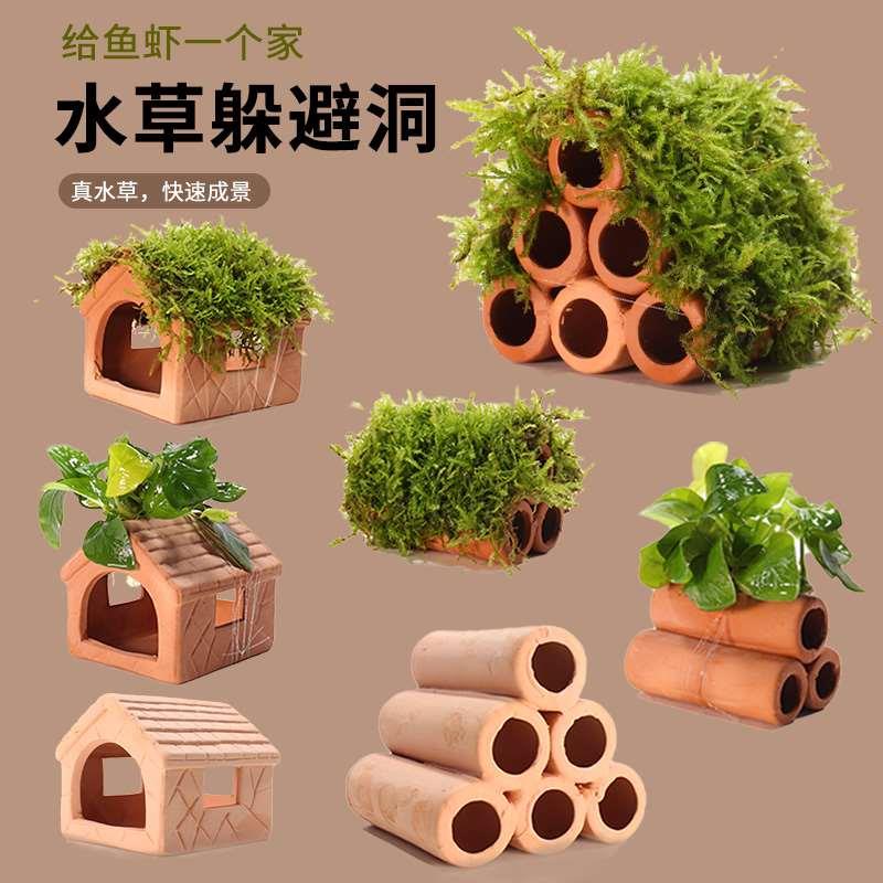鱼缸躲避屋小鱼小虾孔雀鱼黑壳虾卡通洞小型水草陶罐装饰造景摆件