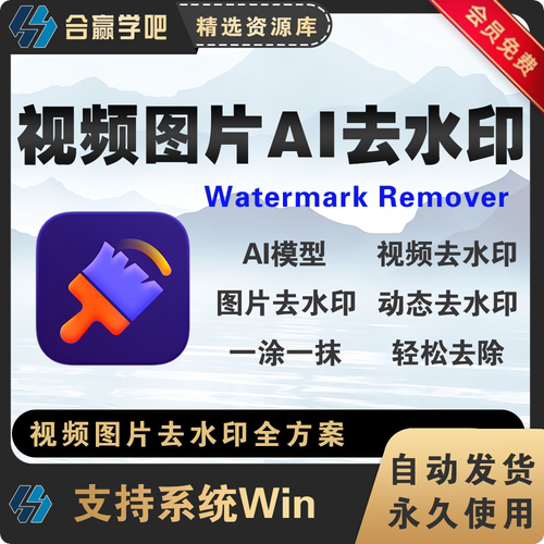 智能AI视频图片去水印软件图片消除文字水印视频去字幕工具