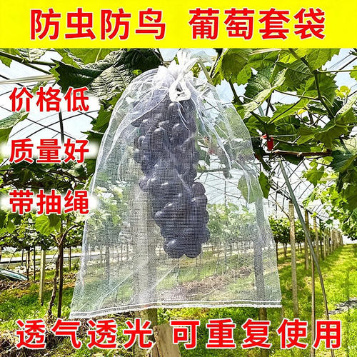 防虫防鸟专用水果透气网套袋草莓