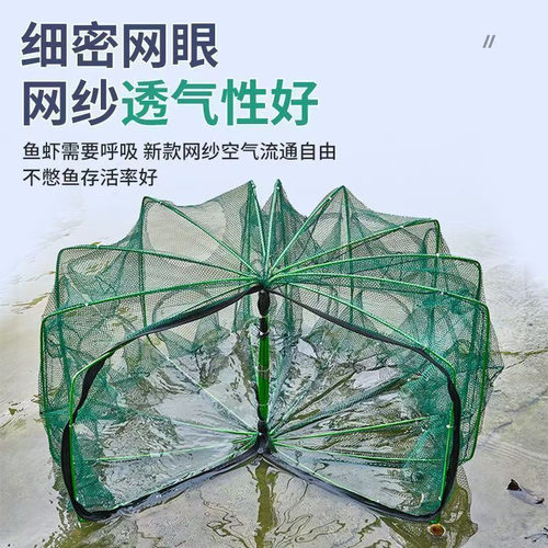 只进不出黄鳝渔网扇形折叠鱼笼