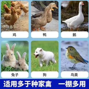 用家鸡防HKW笼禽养殖可懒超特大号雨棚大型牛棚羊圈鸭笼蔬菜人养