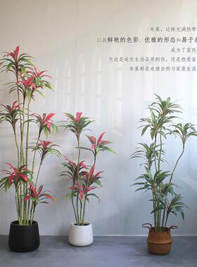高蕉端彷真绿色植物物朱铁树饰橱窗宿民酒店铺客厅大型落PVG地装