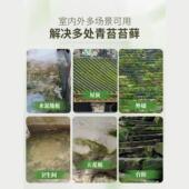 阳LOU台青苔藓清除泥水地面专用外墙露台藻类清杀除清洁楼顶洗剂