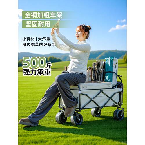 露车户外可折叠推车大手号营野餐lyc00拖车后营开门家用快递便野