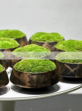 新中式花艺仿真绿植观样板房客厅售楼处永生植物青苔盆栽桌面摆件