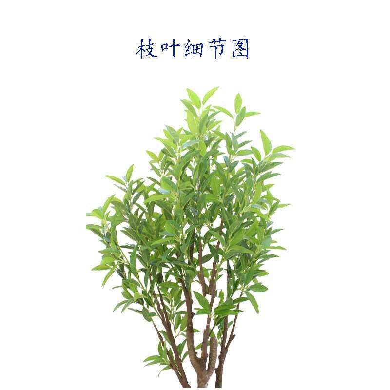 速发仿真植物茶叶树 绿植迷你小盆栽 落地装饰拍摄摆放厂家