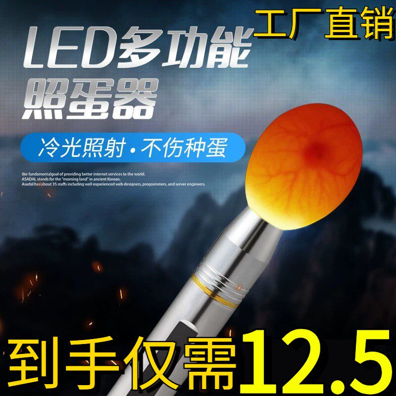 速发照蛋器冷电筒可化专用验蛋孵蛋孵充电照蛋灯蛋种检查手光孵化