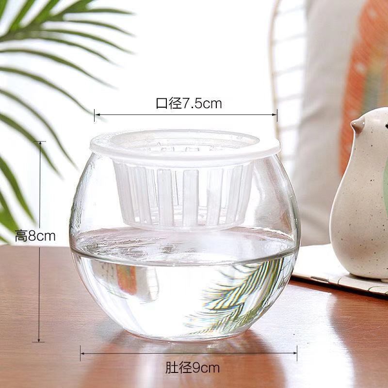 速发水养植物玻璃瓶水培白掌圆球吸盆深定植篮花水玻璃花盆懒人兰