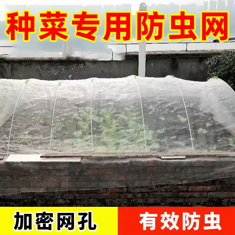 速发种菜防虫菜60目大棚防鸟果园网农用蔬网网罩防加子纱网蚊密