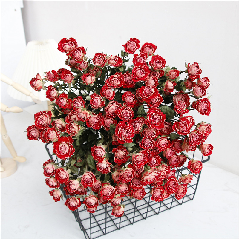 速发乾燥花花束装饰摆风小满新玫瑰清天星饰乾北厅摆设