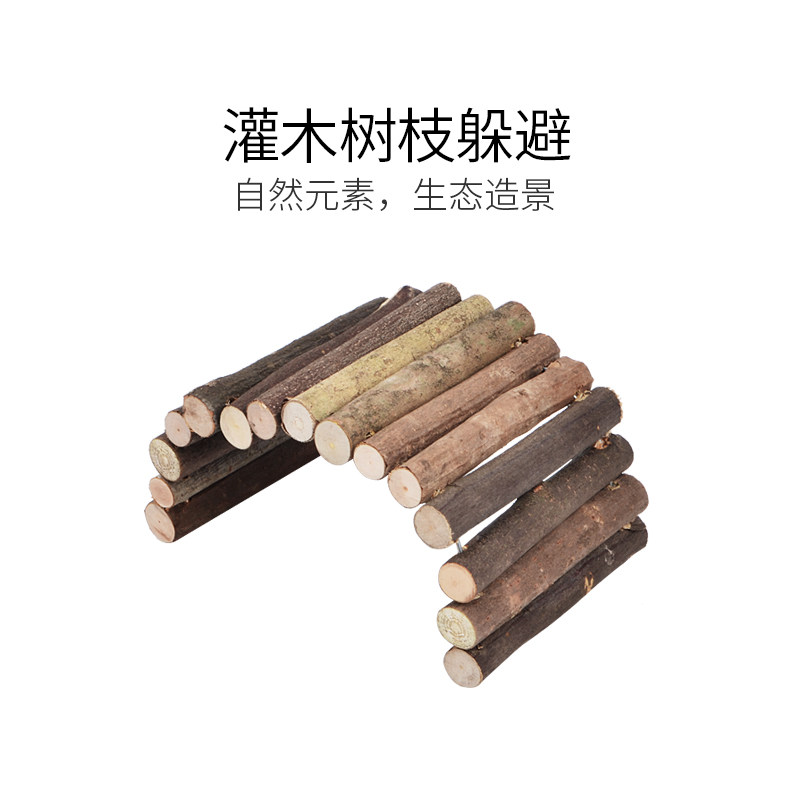 速发乌龟躲避洞屋爬宠龟陆鬓狮蜥蜴寄居蟹黄缘龟景避窝饲养箱造躲