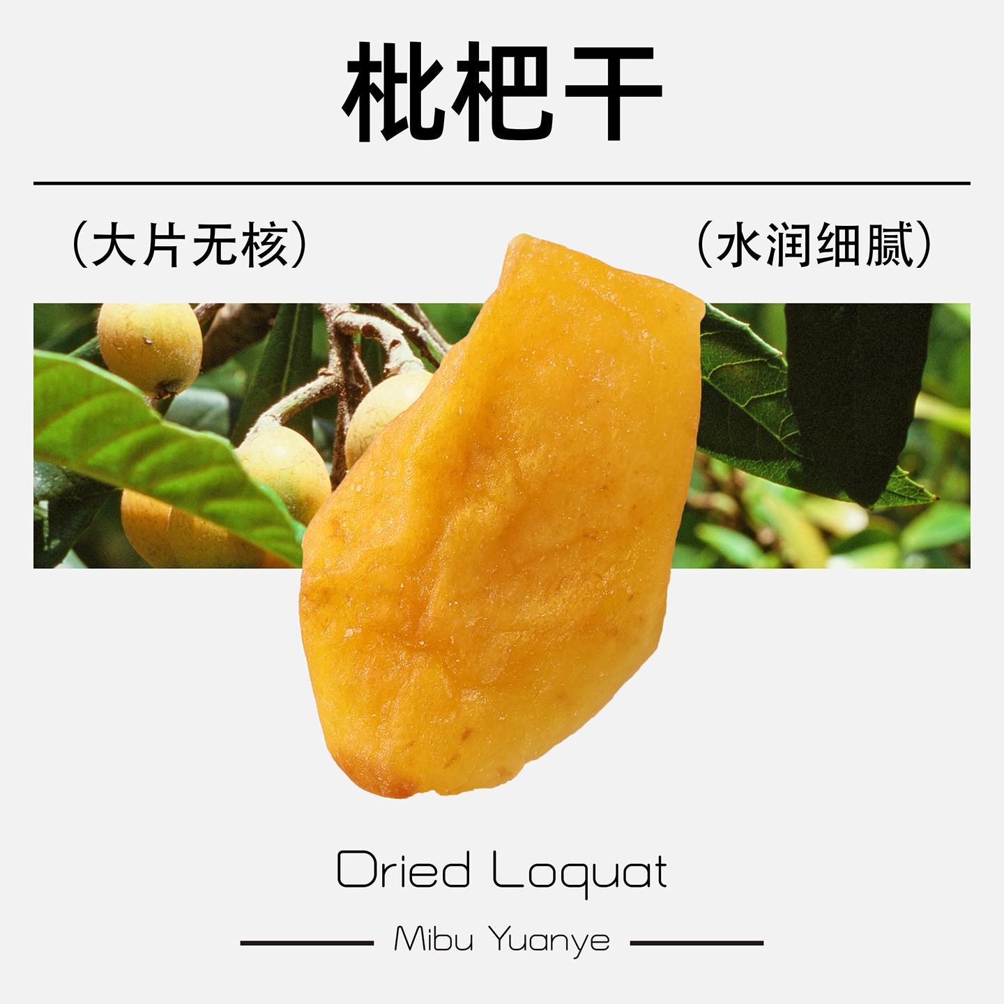 秘簿原野枇杷干】罐装漳州云霄果脯蜜饯果干休闲零食小吃网红追剧