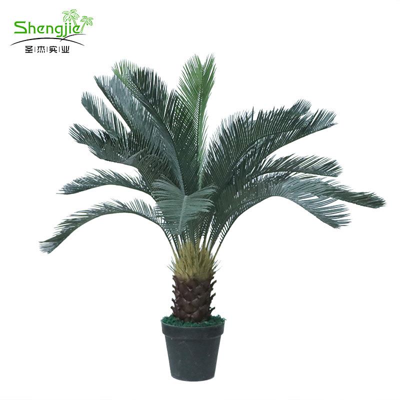 仿真苏铁盆栽厂家仿真植物室内装饰巴西铁盆栽桫椤树仿真绿植现货