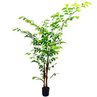 仿真绿植造景绿植景观鱼尾葵盆栽客厅沙发摆件餐厅网红店可摆放