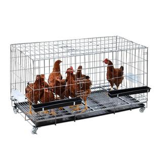 鸡笼家用养殖鸡笼运输笼大号鸡笼子母鸡笼管蛋鸡笼专用