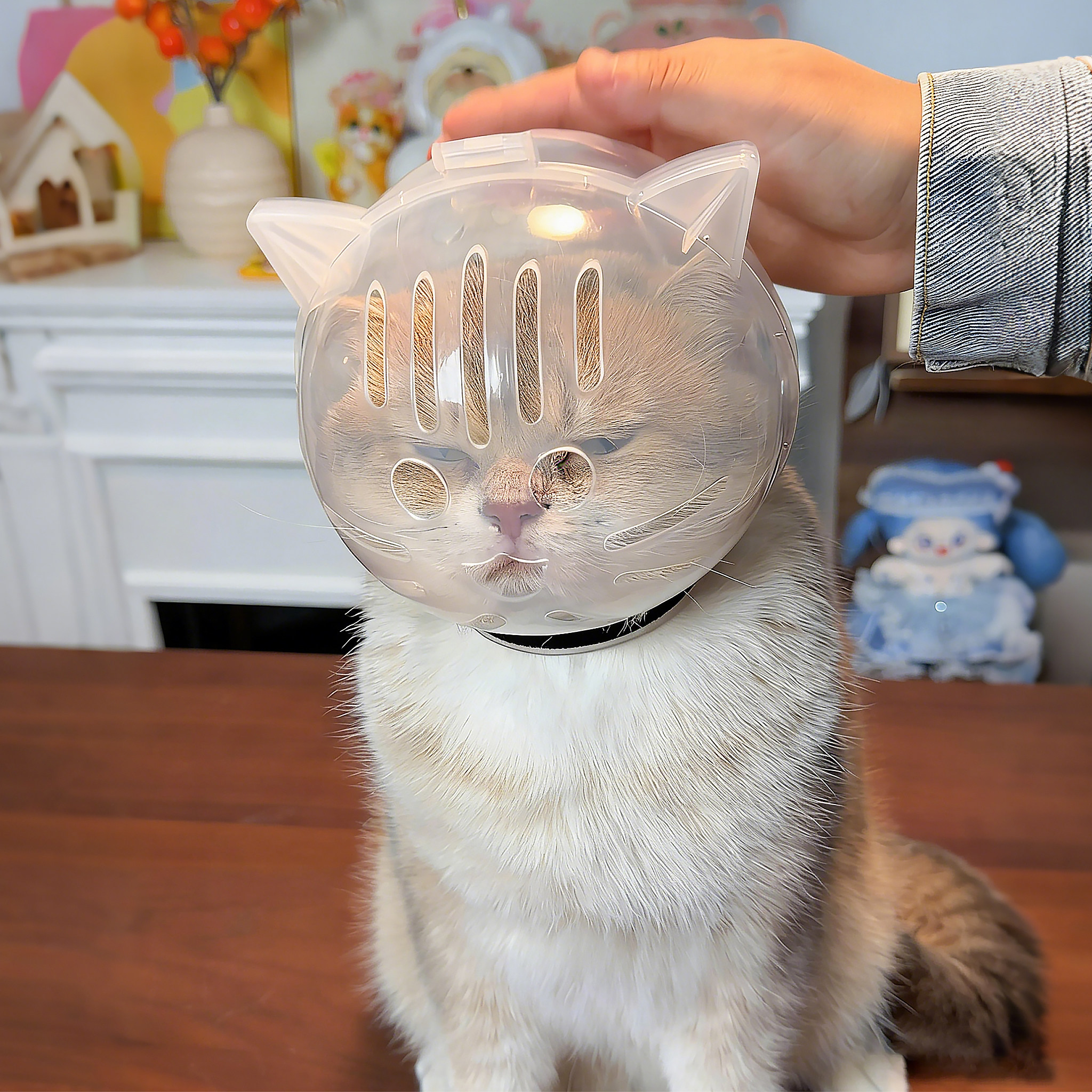 猫咪头套剪指甲洗澡防咬防脱防打架嘴套透气不闷热球形太空头罩
