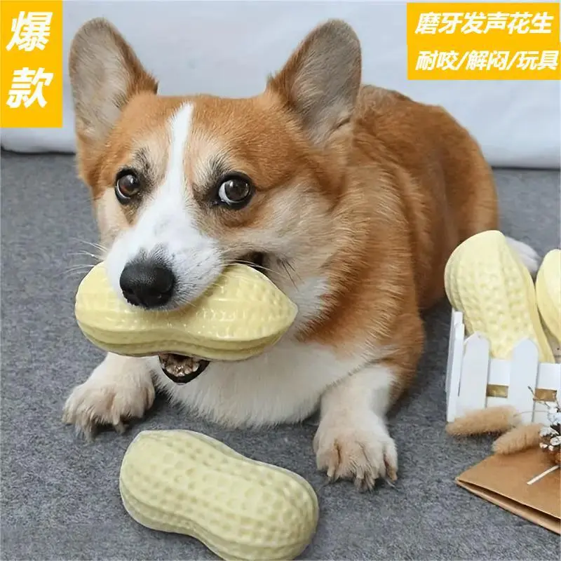 狗狗玩具耐咬磨牙发声花生玩具中型大型宠物犬柯基法斗狗解闷神器
