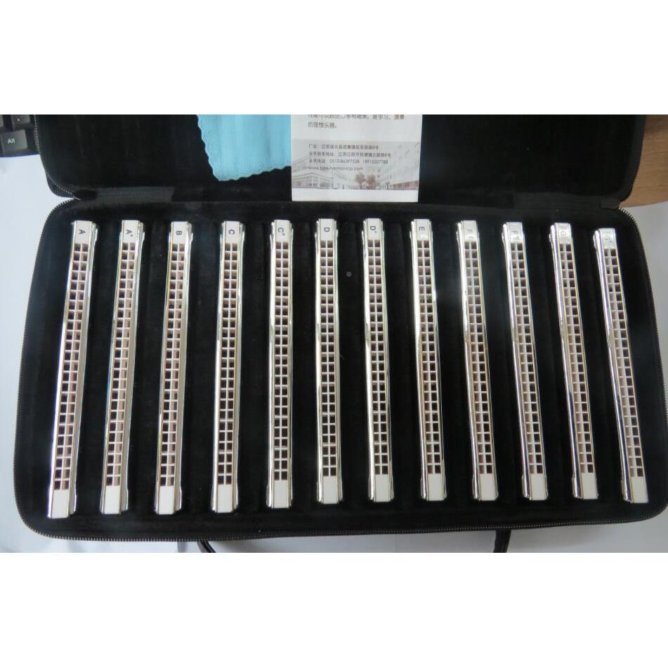 专业口演奏口琴24孔琴C调人复音东鼎方T2406s初学入门成YQS特别调