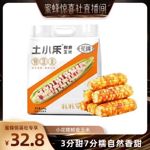 土小乐小花糯玉米非转基因