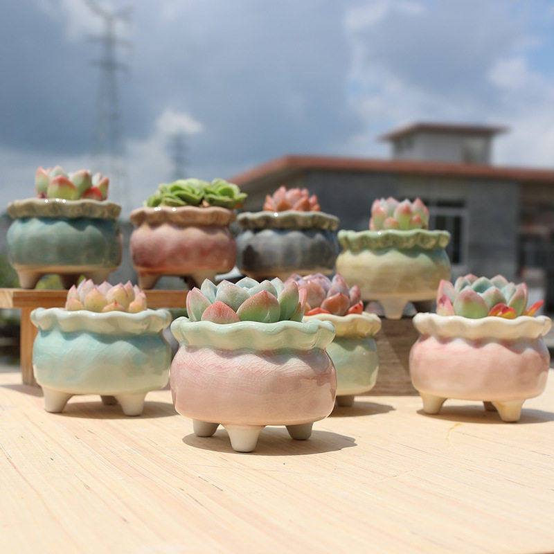 多肉植物花盆简约冰裂开片彩虹创意个性透气花边肉肉小盆特价包邮,鲜花速递/花卉仿真/绿植园艺,花托/移动托盘,淘宝优惠券,粉丝福利购,淘宝优惠卷