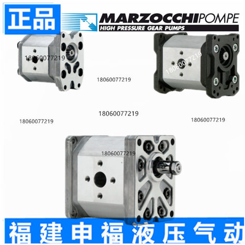 意大利马祖奇齿轮泵马达MARZOCCHI ALP2BK1-D- 6 9 10 12 22 25