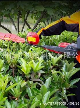 LE601锂电刃背双0负式绿机充篱电式多功能园DMX林绿化修枝修剪机